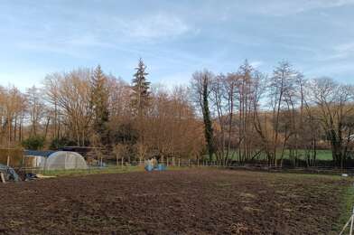 Terrain  62500 €