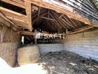 Maison plain-pied avec grand terrain + dépendances — photo 3