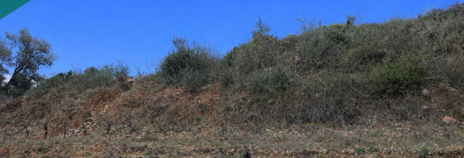 Terrain  11250 m² à vendre à Tautavel (66720)