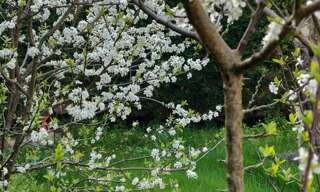 Maison 6 Pièces 216 m² à vendre à Bourg-la-Reine (92340)