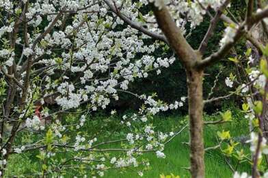 Maison 6 pièces 990000 €