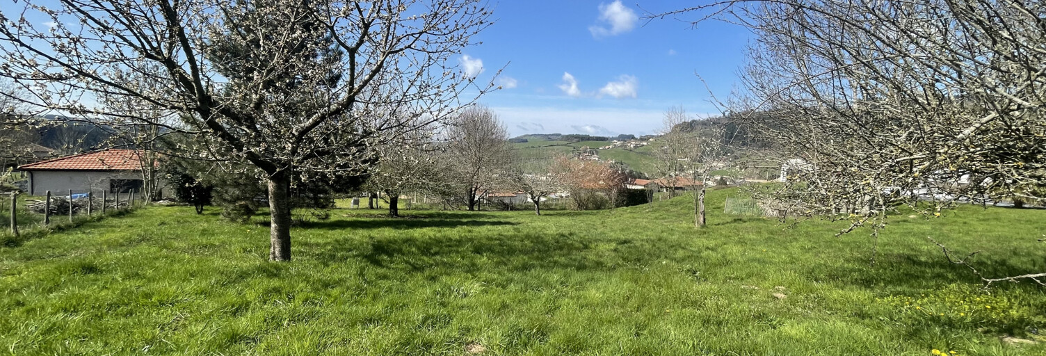 Terrain  1244 m² à vendre à Cublize (69550)