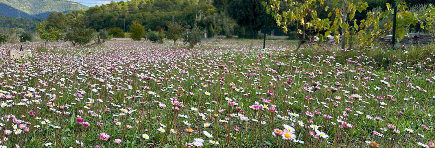 Maison 5 Pièces 158 m² à vendre à Signes (83870)