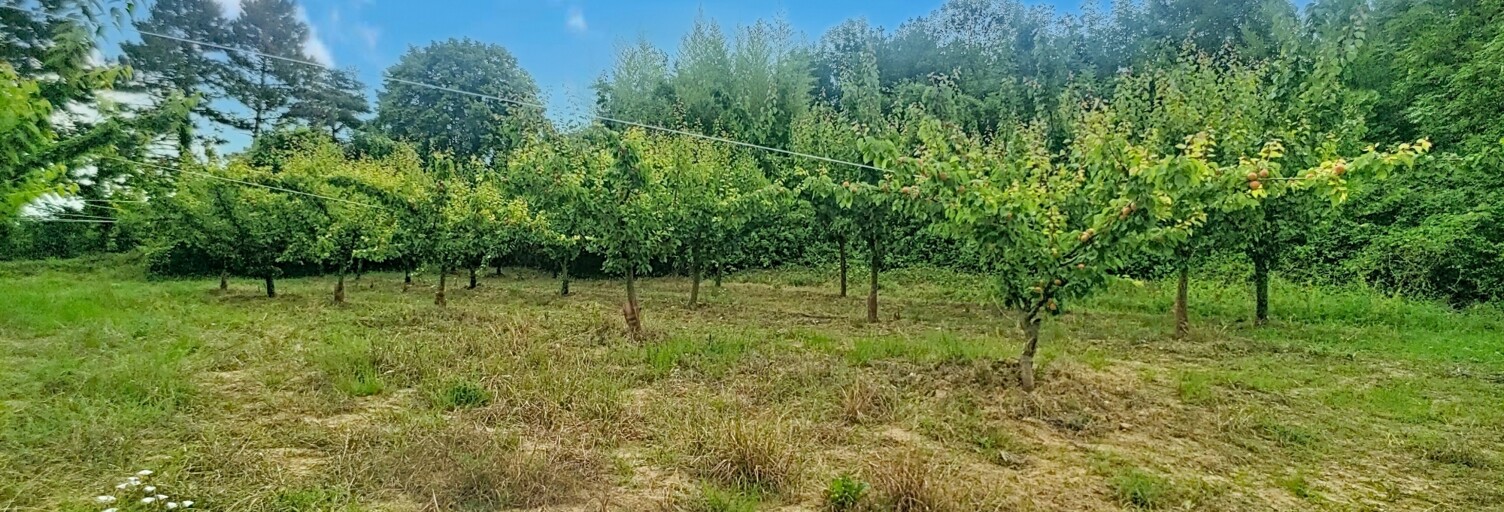 Terrain  1000 m² à vendre à Tournon-sur-Rhône (07300)