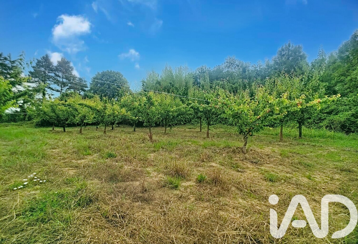 Vente Terrain à bâtir 1 000 m&sup2; — photo 1