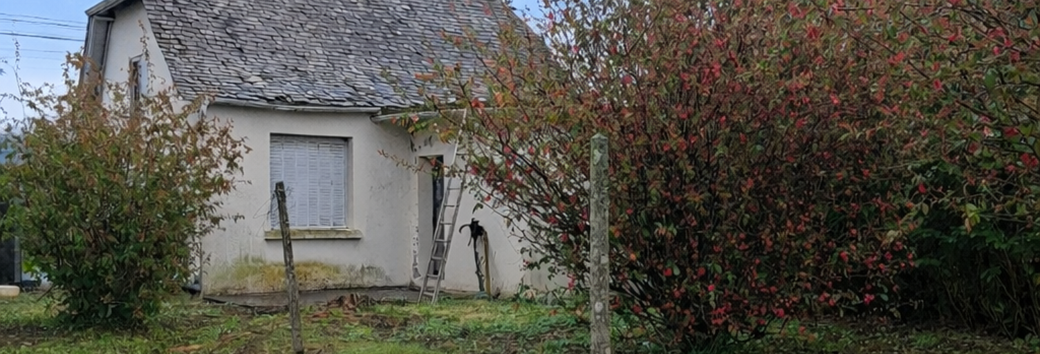 Maison 3 Pièces 46 m² à vendre à Pontacq (64530)