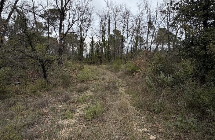 Vente Terrain 19 895 m&sup2; — photo 5