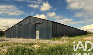 Appartement 4 Pièces 108 m² à vendre à Longueville (14230)