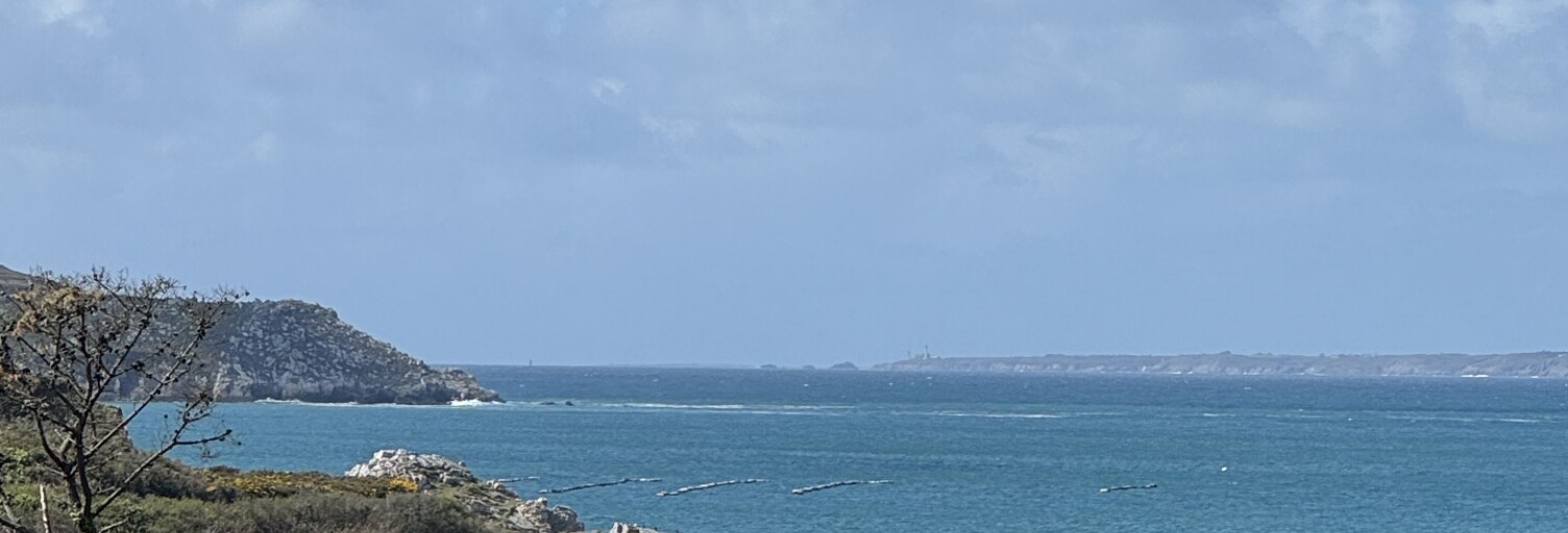 Photo N° 2