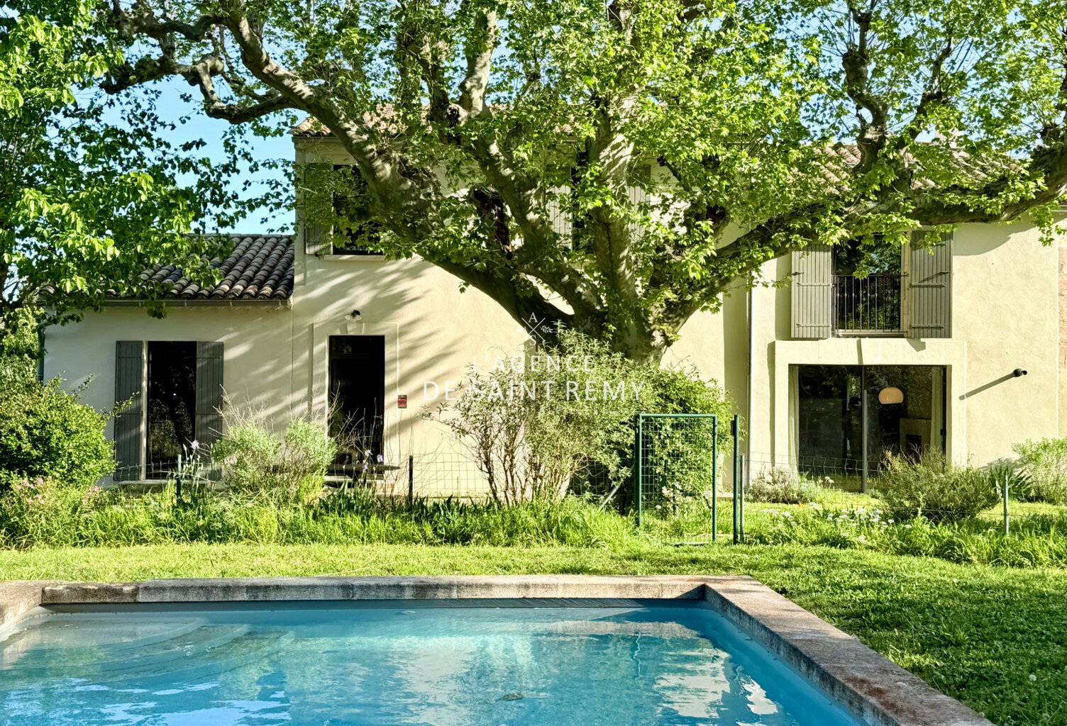 Coup de Coeur : Mas provençal rénové avec platane bicentenaire — photo 1