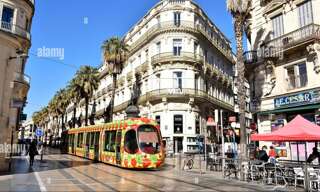 Local industriel  67 m² à louer à Montpellier (34000)