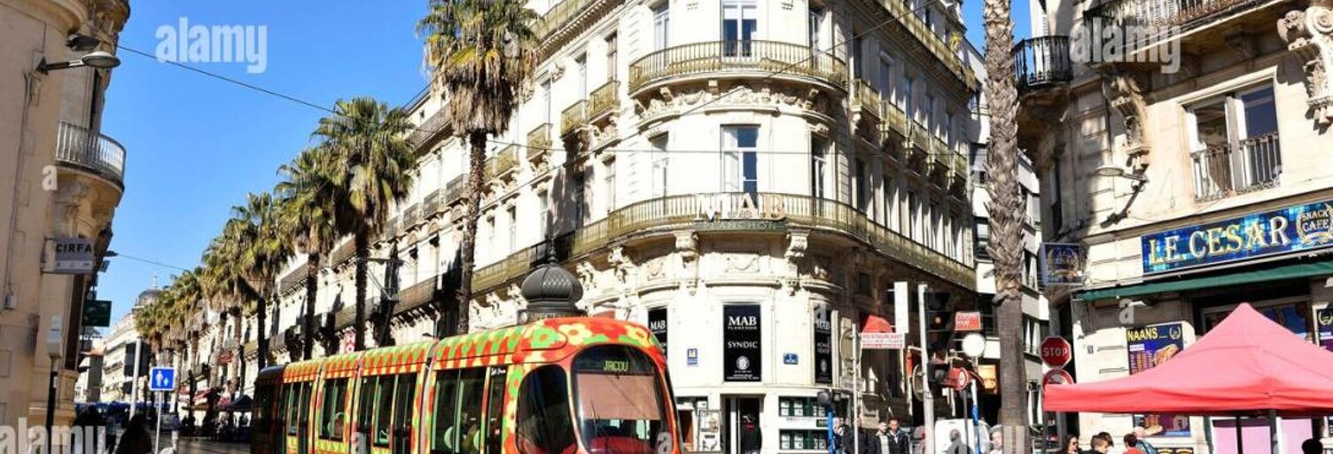 Local industriel  67 m² à louer à Montpellier (34000)