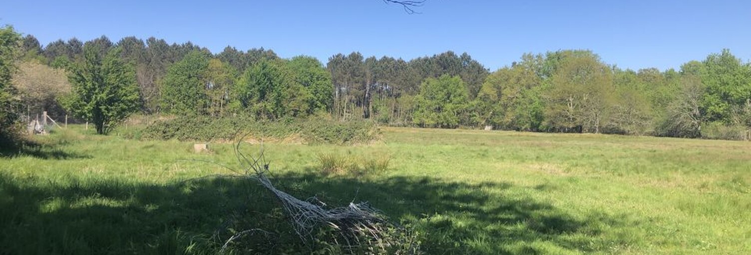 Terrain  21380 m² à vendre à Gaillan-en-Médoc (33340)