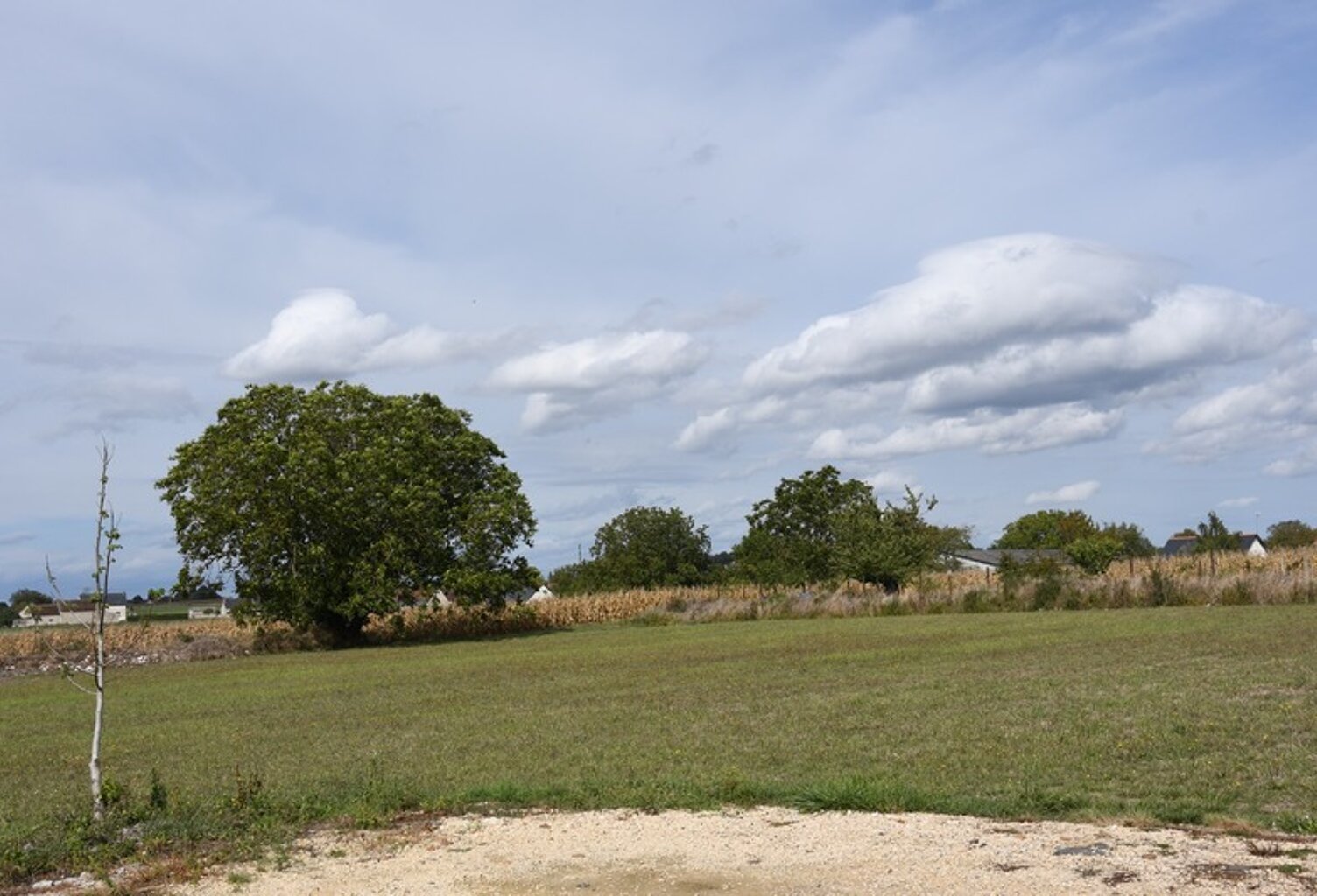 La Celle st Avant - Très beau terrain constructible d'environ 8 000 m², prêt à viabiliser, centre bourg  (37160) Idéal investisseur — photo 1