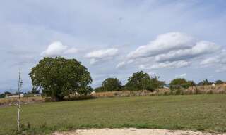 Terrain  7800 m² à vendre à La Celle-Saint-Avant (37160)