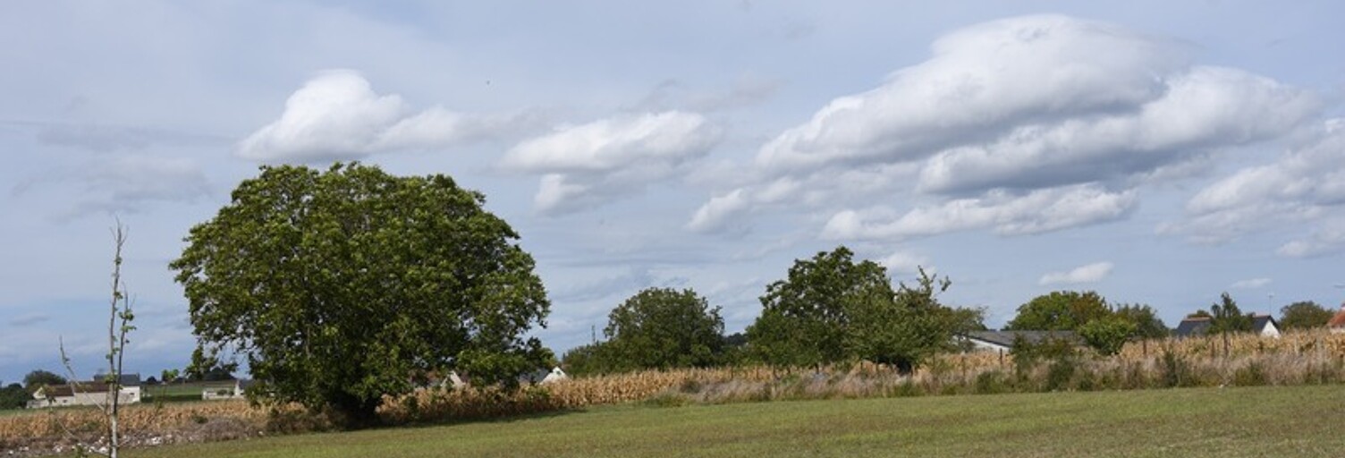 Terrain  7800 m² à vendre à La Celle-Saint-Avant (37160)