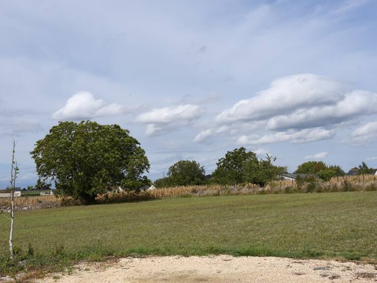 La Celle st Avant - Très beau terrain constructible d'environ 8 000 m², prêt à viabiliser, centre bourg  (37160) Idéal investisseur — photo 1