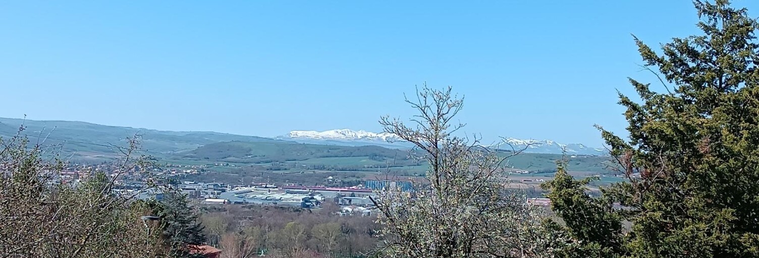 Photo N° 2