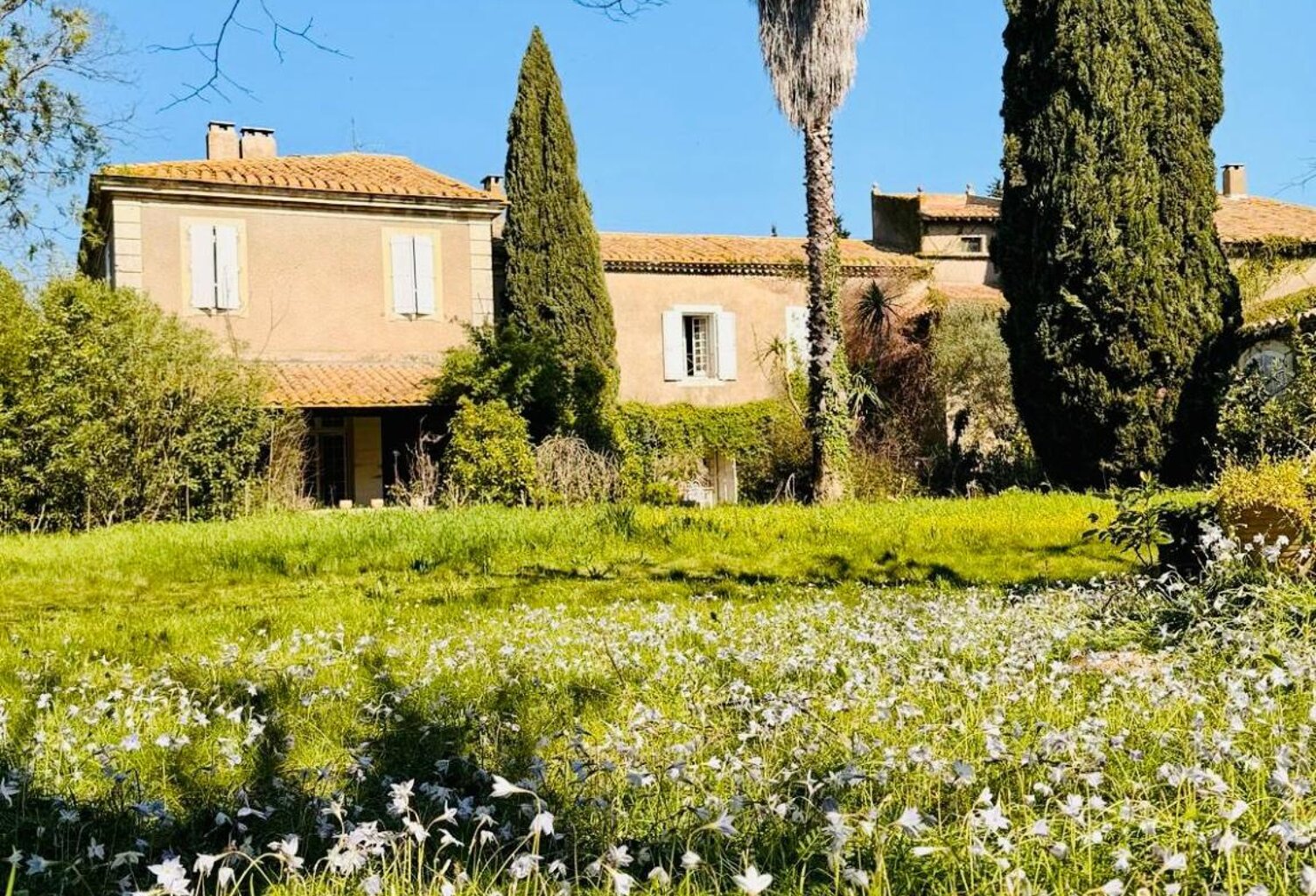 NIMES MAS 19 EME IDEAL CHAMBRES D HOTES ET EVENEMENTIEL — photo 1