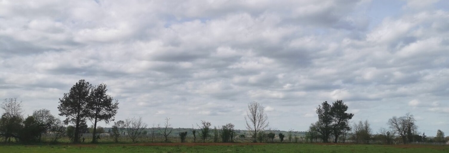 Terrain  995 m² à vendre à Coimères (33210)