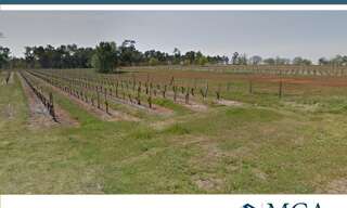 Terrain  1660 m² à vendre à Saint-Savin (33920)