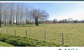 Terrain  18000 m² à vendre à Saint-Savin (33920)