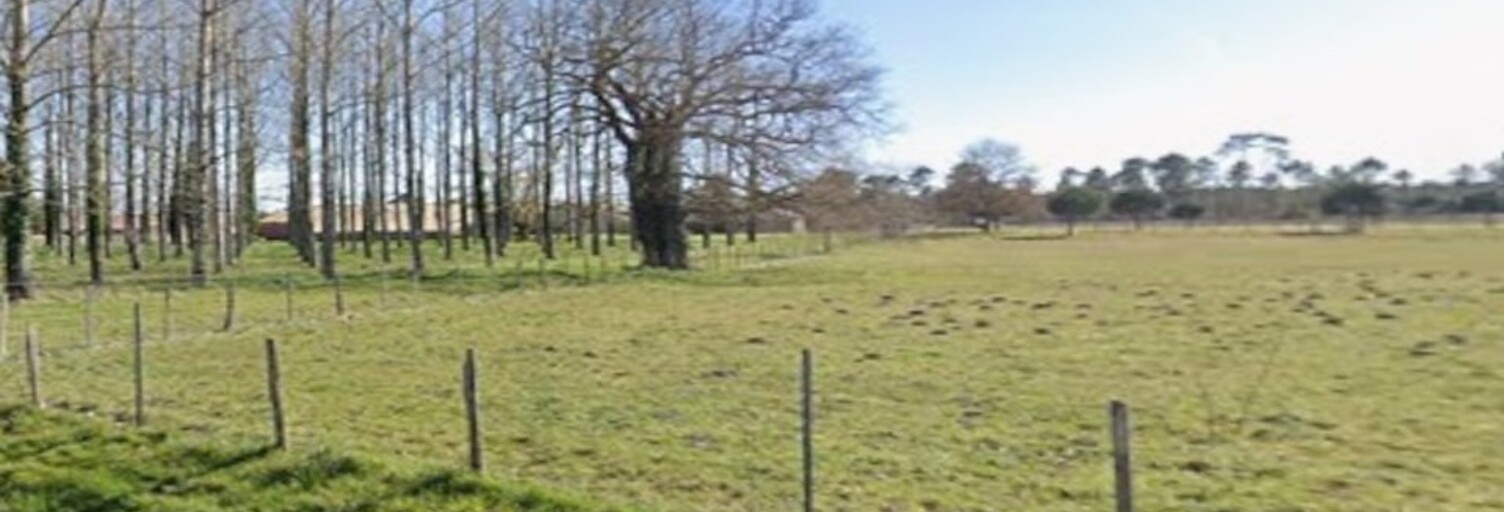 Terrain  18000 m² à vendre à Saint-Savin (33920)