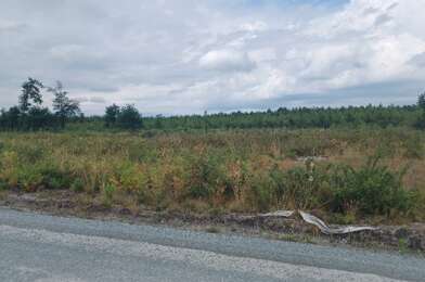 Terrain  162000 €