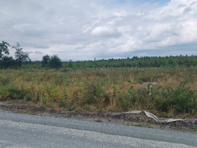 Terrain à bâtir à Mios (33380) — photo 1