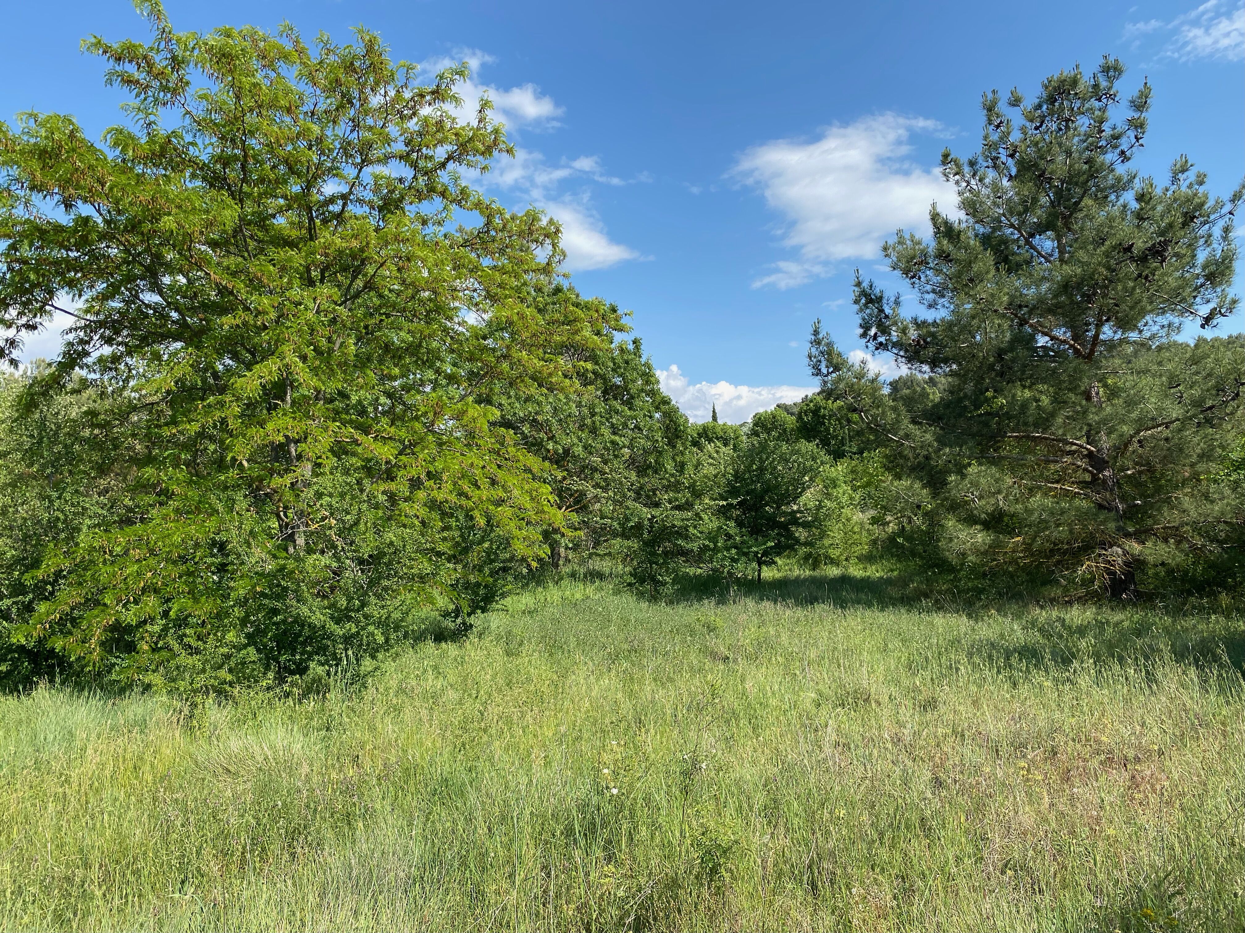 Villa / Maison  T4 à vendre Trets 13530