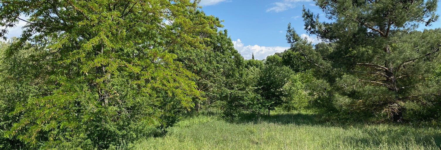 Maison 90 m² à construire Trets (13530)