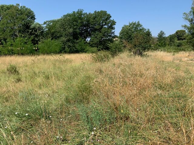 Terrain  à vendre Flayosc 83780
