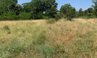 Terrain 1000 m² à construire Flayosc (83780)