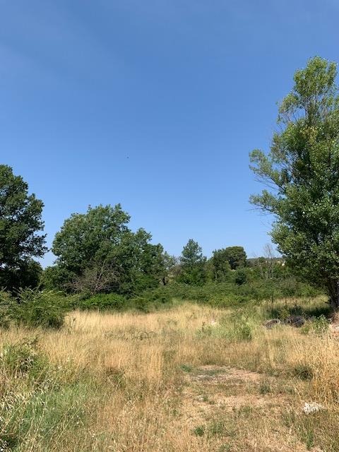 Terrain  à vendre Salernes 83690