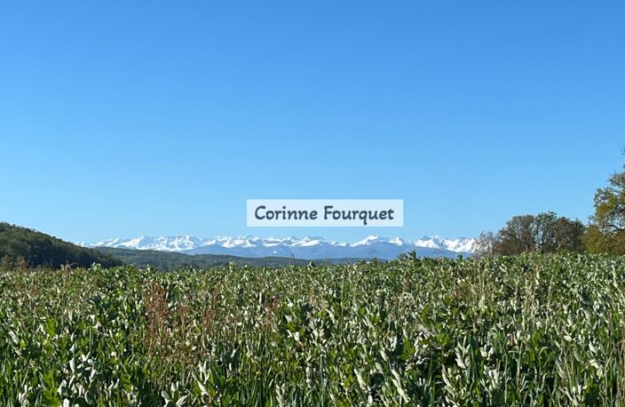 Maison Gasconne et plusieurs dépendances, vue Pyrénées — photo 2