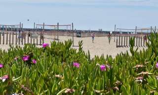 Immeuble  147 m² à vendre à Mauguio (34130)