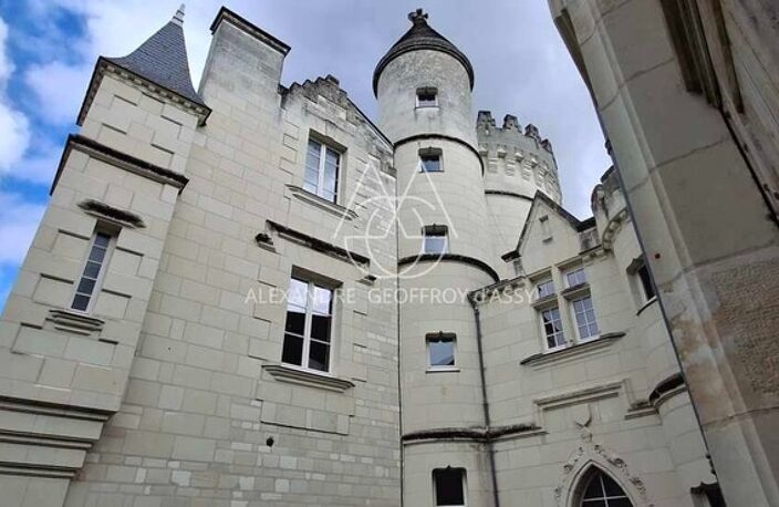 Château/vignoble d’appelation “Saumur” rénové. Idéal pour mariages et évènementiel — photo 2
