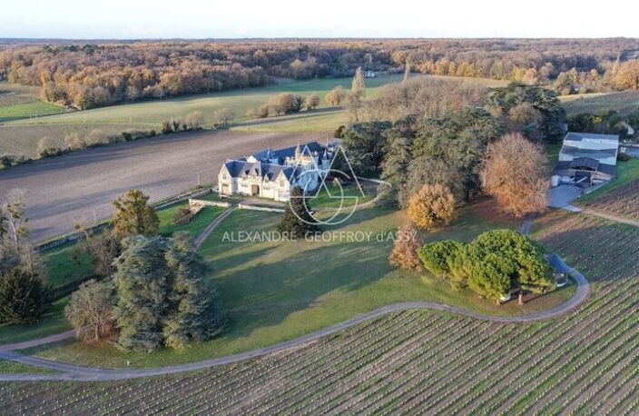 Château/vignoble d’appelation “Saumur” rénové. Idéal pour mariages et évènementiel — photo 3