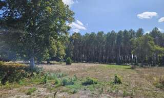 Terrain 1135 m² à construire Martillac (33650)