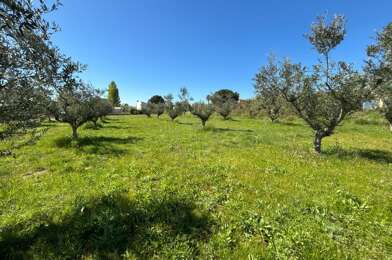 Terrain  179000 €