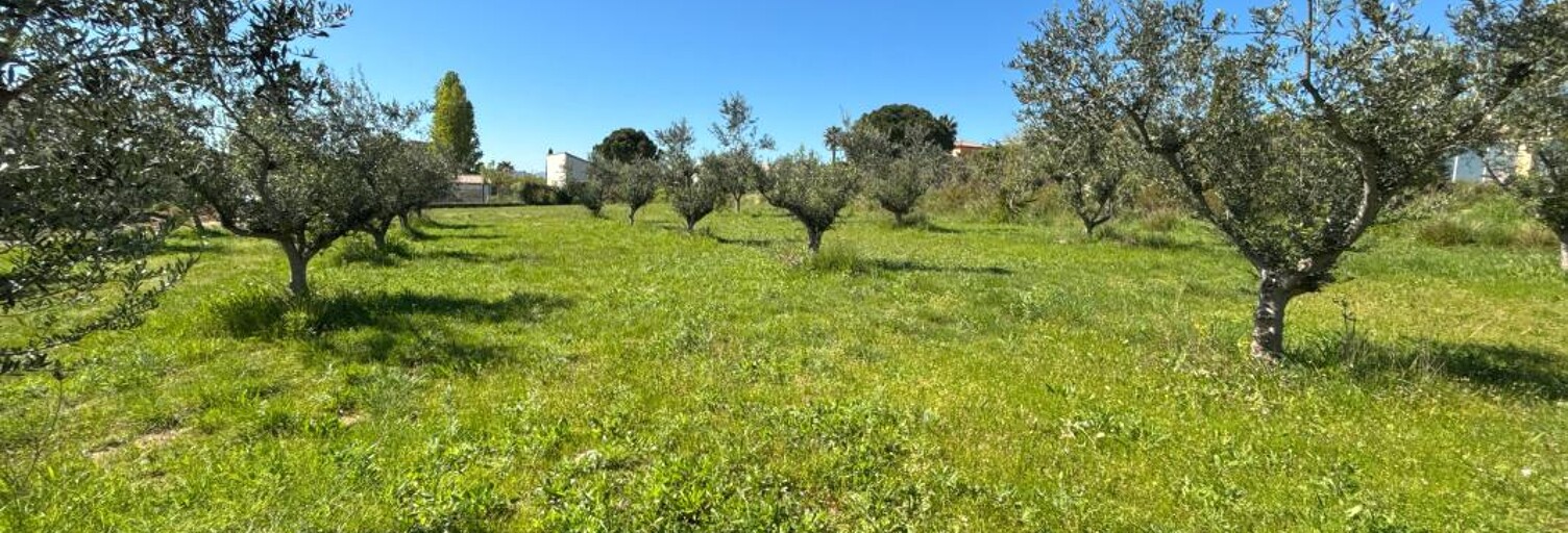 Terrain  2352 m² à vendre à Magalas (34480)