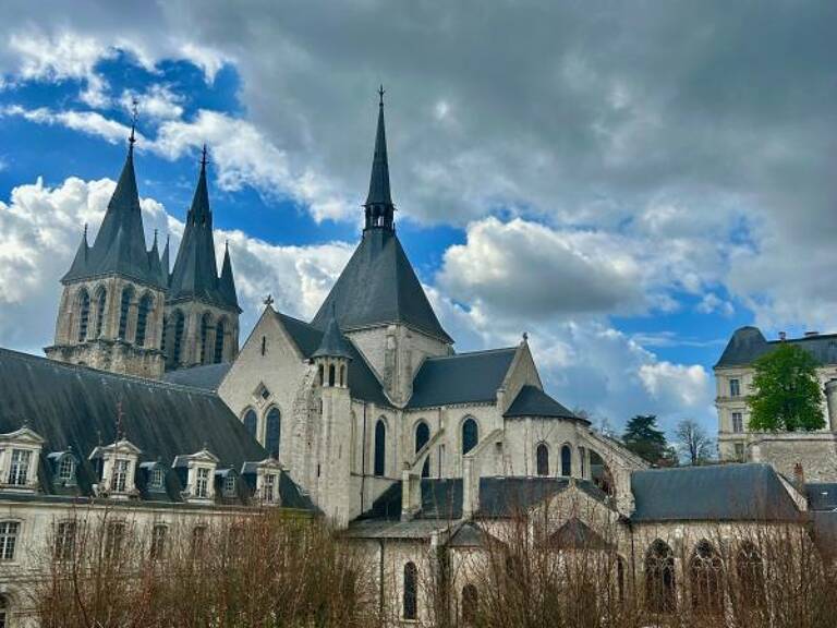 Appartement À Louer BLOIS VUE SUR LOIRE — photo 1