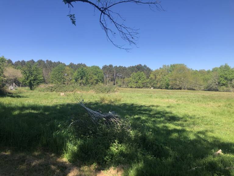 TERRAINS AGRICOLE 21380 m2 — photo 1