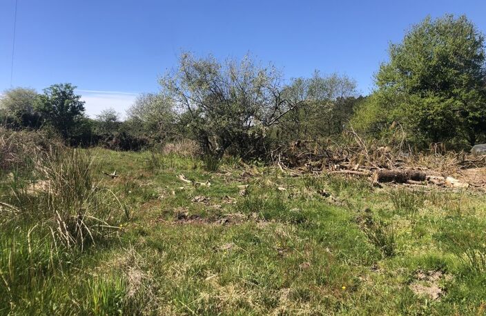 TERRAINS AGRICOLE 21380 m2 — photo 2