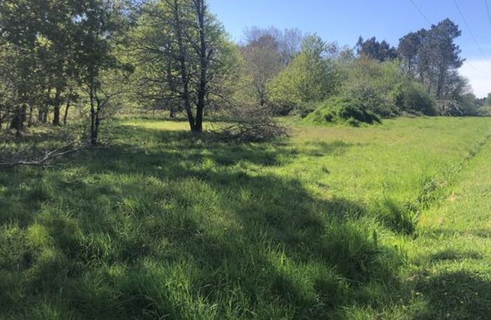 TERRAINS AGRICOLE 21380 m2 — photo 4