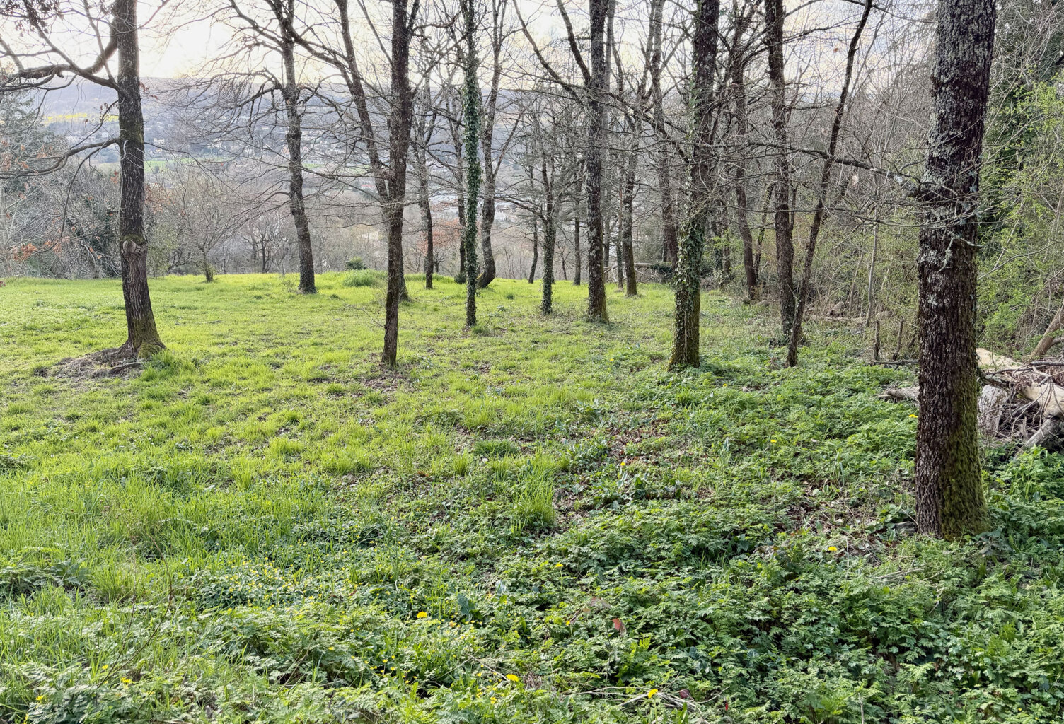 Terrain de loisirs 1825 m2 — photo 1