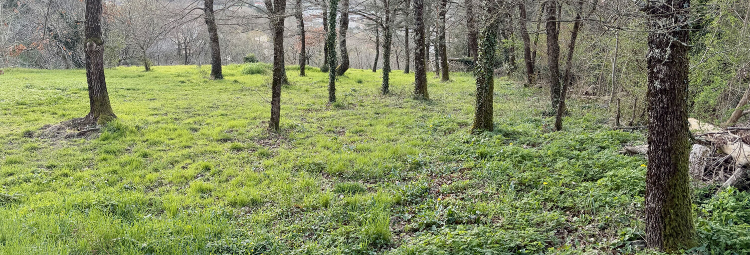 Terrain  1825 m² à vendre à Villefranche-de-Rouergue (12200)