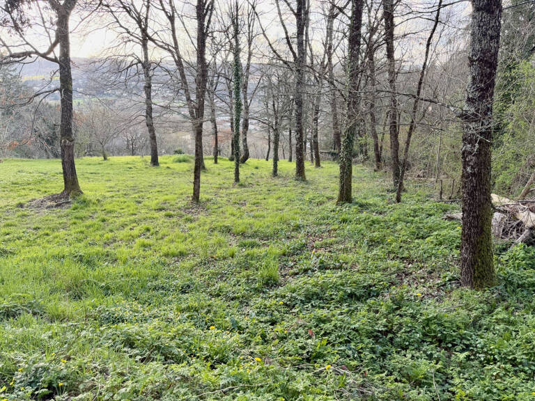 Terrain de loisirs 1825 m2 — photo 1