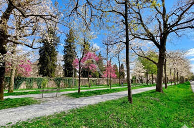 Appartement 4 pièces 225000 €