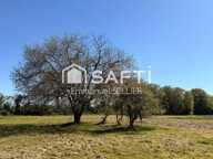 Terrain constructible 4800 m2 — photo 4